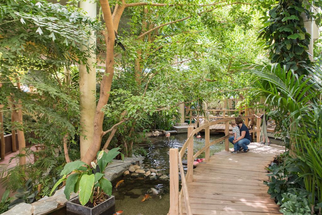 Center Parcs Port Zelande Beach Ouddorp Exteriér fotografie
